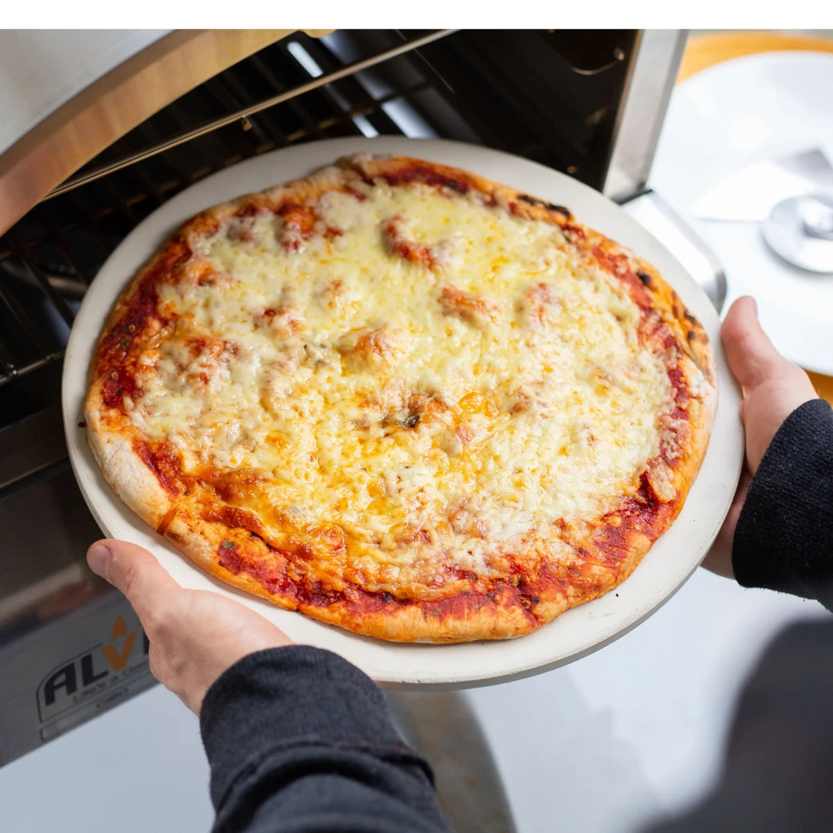 Alva Cibo Stainless Steel Gas Pizza Oven Outdoor Pizza Oven