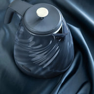 Delonghi Ballerina Seta 1.7L Electric Kettle