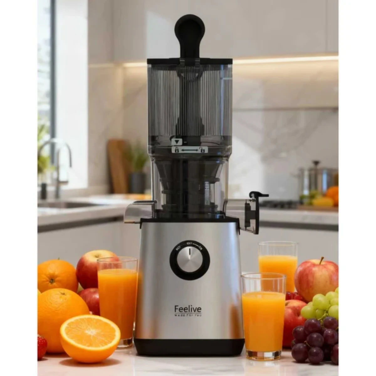 Feelive 200W Cold Press Slow Juicer FSJ108