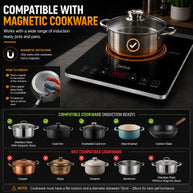 Feelive 2000W SIngle Portable Induction Cooktop Touch Control Black
