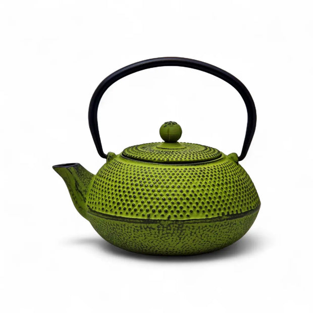 Regent Cast Iron Chinese Teapot