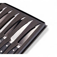 Jan Steak Knife Set In Magnetic Box - 6pc