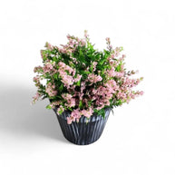 Artificial Potted Assorted Lavender Flowers 11x24cm