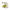 Jenna Clifford Wild Bloom Side Plate Set of 4
